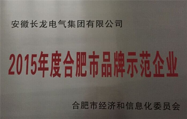 2015年度合肥市品牌树模企业